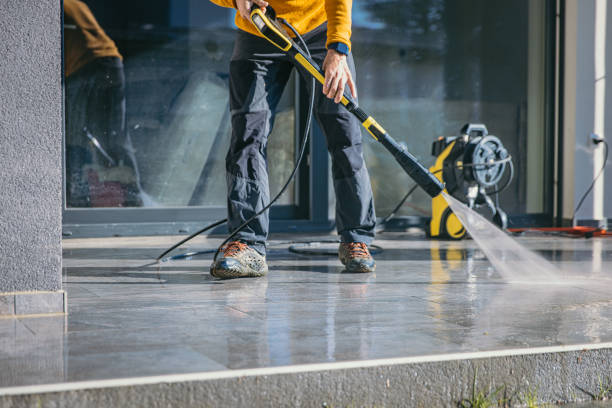 Best Pressure Washing Siding  in Cut Off, LA