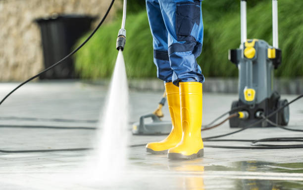 Best Pressure Washing Company Near Me  in Cut Off, LA